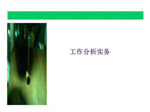 《工作分析实务》PPT课件.ppt