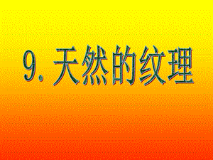 《天然的纹理》PPT课件.ppt