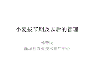 小麦拔节期及以后的管理.ppt