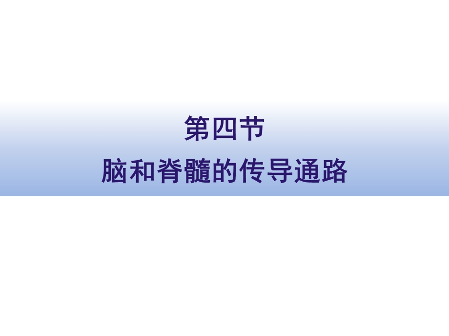 《传导通路》PPT课件.ppt_第1页