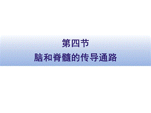 《传导通路》PPT课件.ppt