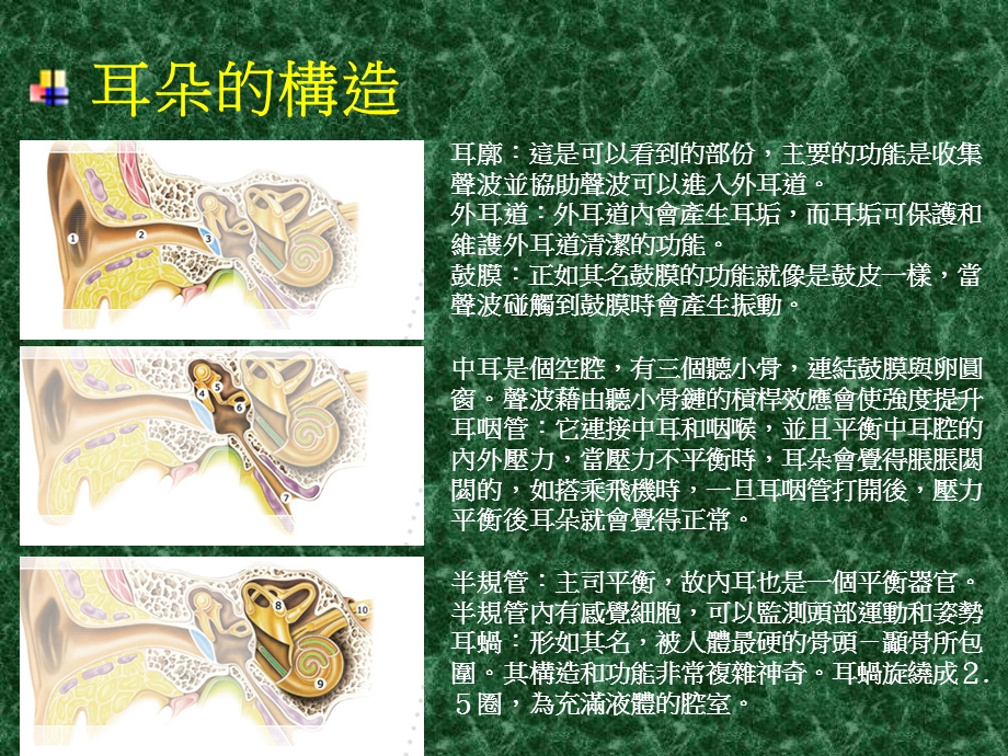 《噪音与振动》PPT课件.ppt_第2页