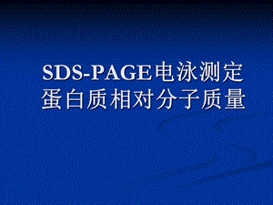 《SDSPAGE电泳测定》PPT课件.ppt