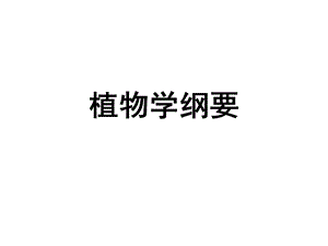 《分类期考复习》PPT课件.ppt