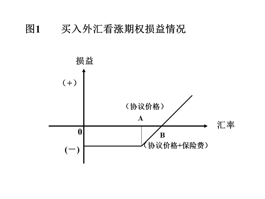 《外汇期权案例》PPT课件.ppt_第3页