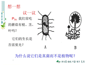 《想一想议一议》PPT课件.ppt