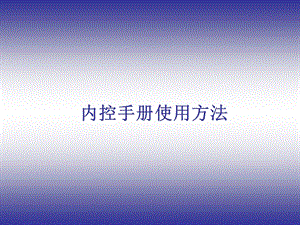 《内控手册使用》PPT课件.ppt