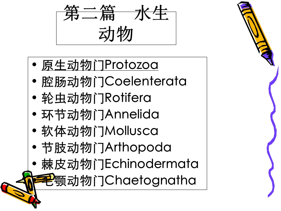 《原生动物轮虫》PPT课件.ppt_第2页