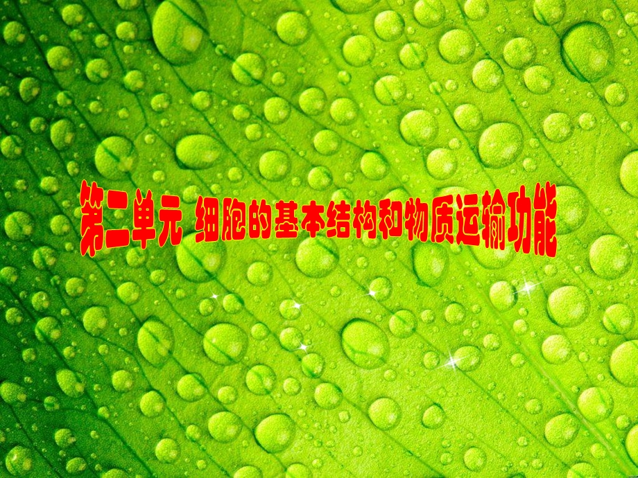 考能专项突破二.ppt_第1页