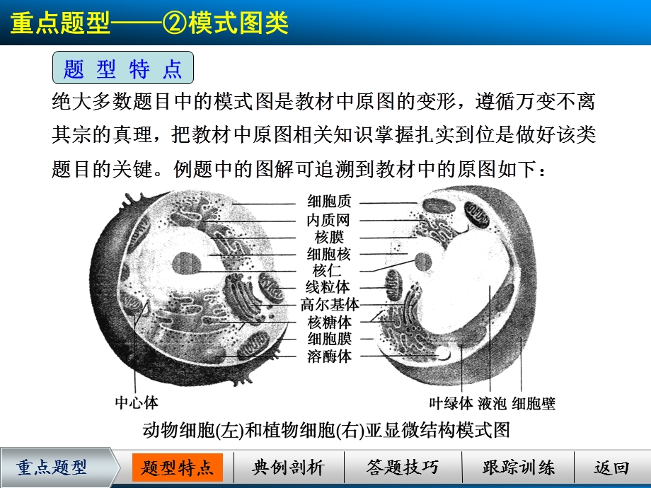 考能专项突破二.ppt_第3页