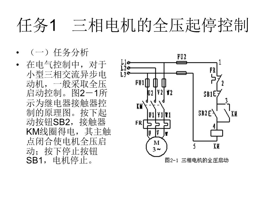 《PLC编程元件》PPT课件.ppt_第2页