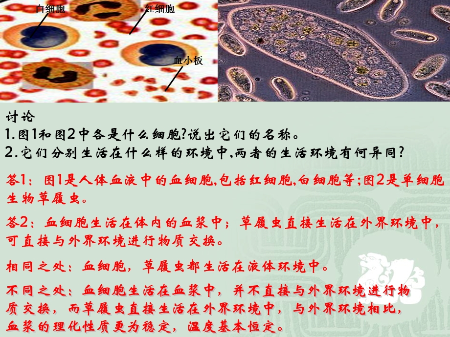 细胞环境.ppt_第2页