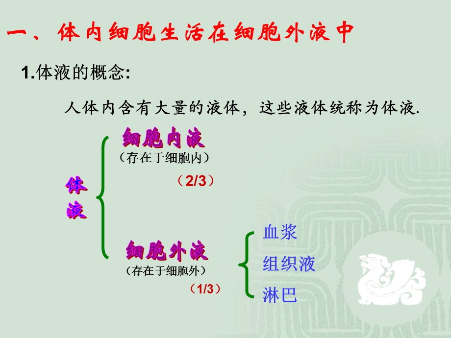 细胞环境.ppt_第3页