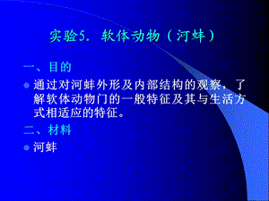 《实验软体动物》PPT课件.ppt