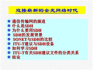 《光网络应用展望》PPT课件.ppt