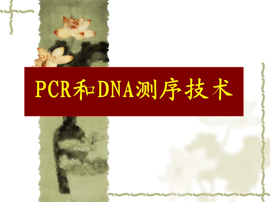 《PCR和DNA测序》PPT课件.ppt_第1页