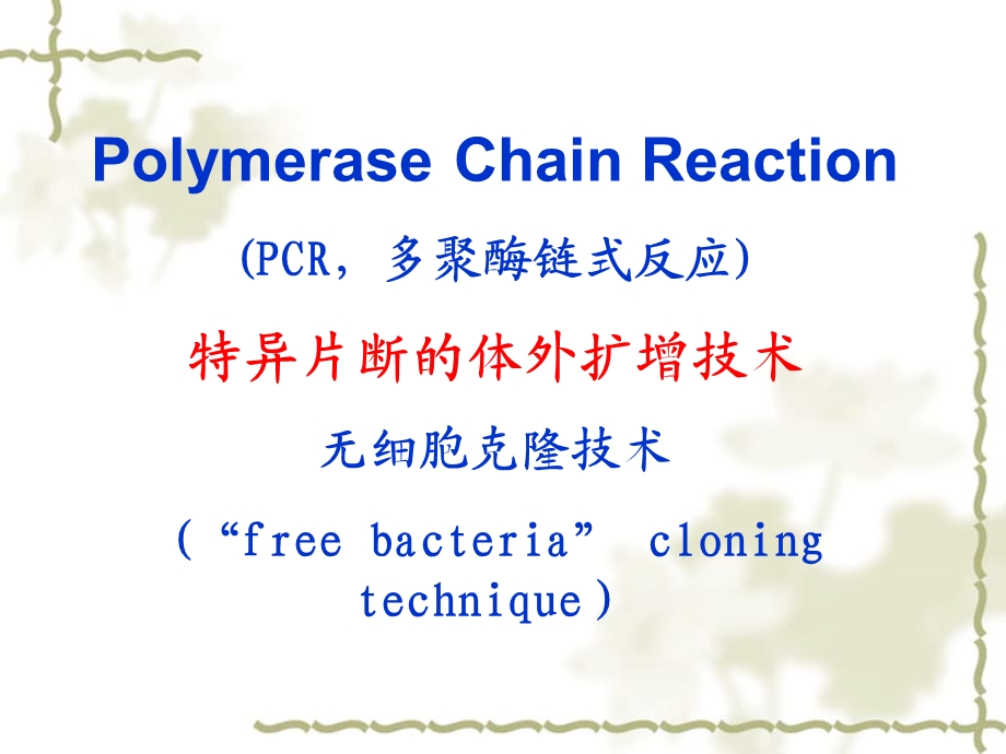 《PCR和DNA测序》PPT课件.ppt_第2页