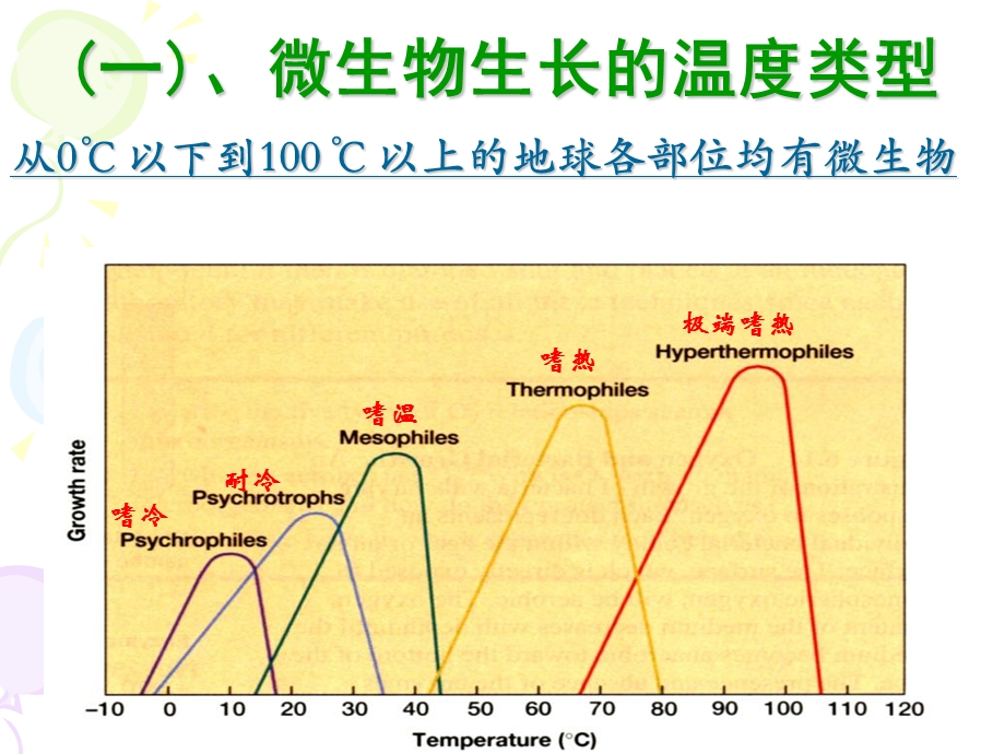 《微生物的生长》PPT课件.ppt_第3页