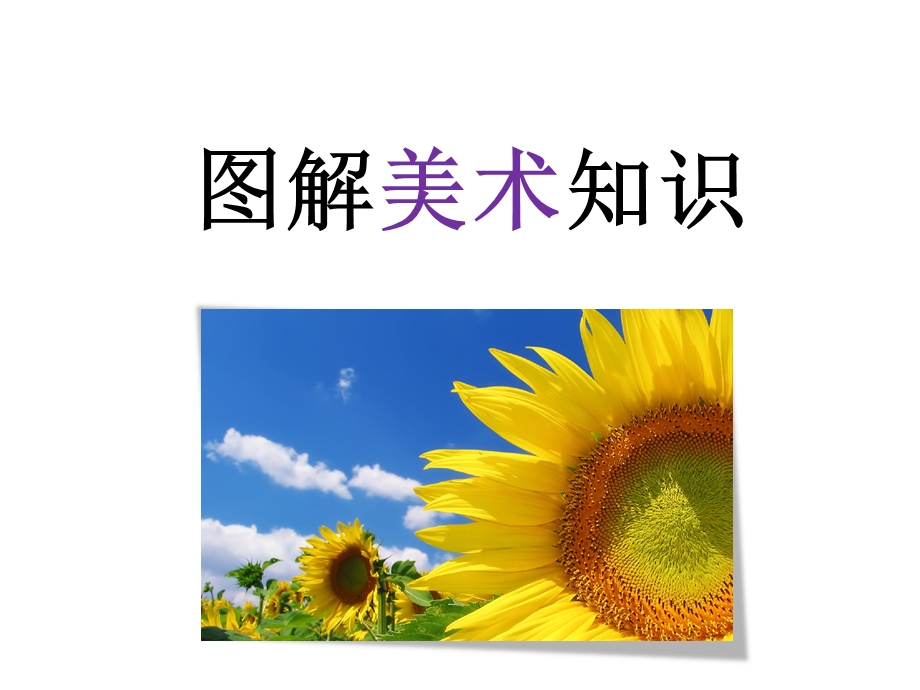 《图解美术知识》PPT课件.ppt_第1页