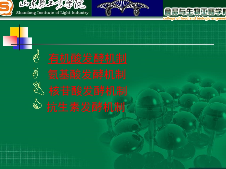 《好氧发酵机制》PPT课件.ppt_第3页