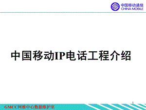 《VOIP业务介绍》PPT课件.ppt