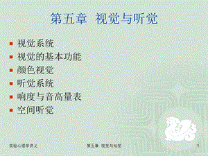 实验心理学第五章 视觉与听觉.ppt