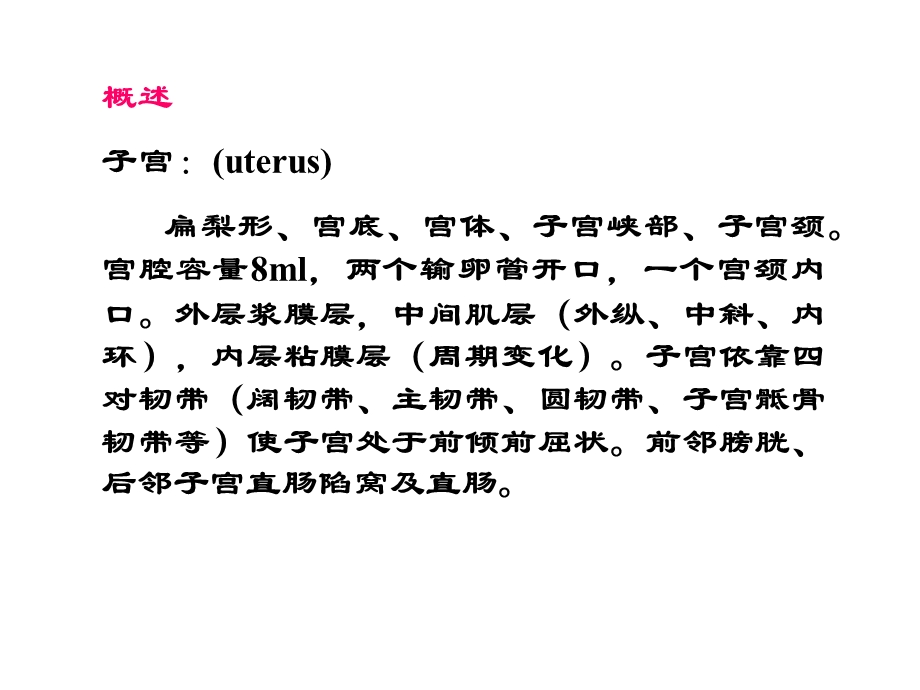 《妇科解剖基础》PPT课件.ppt_第2页