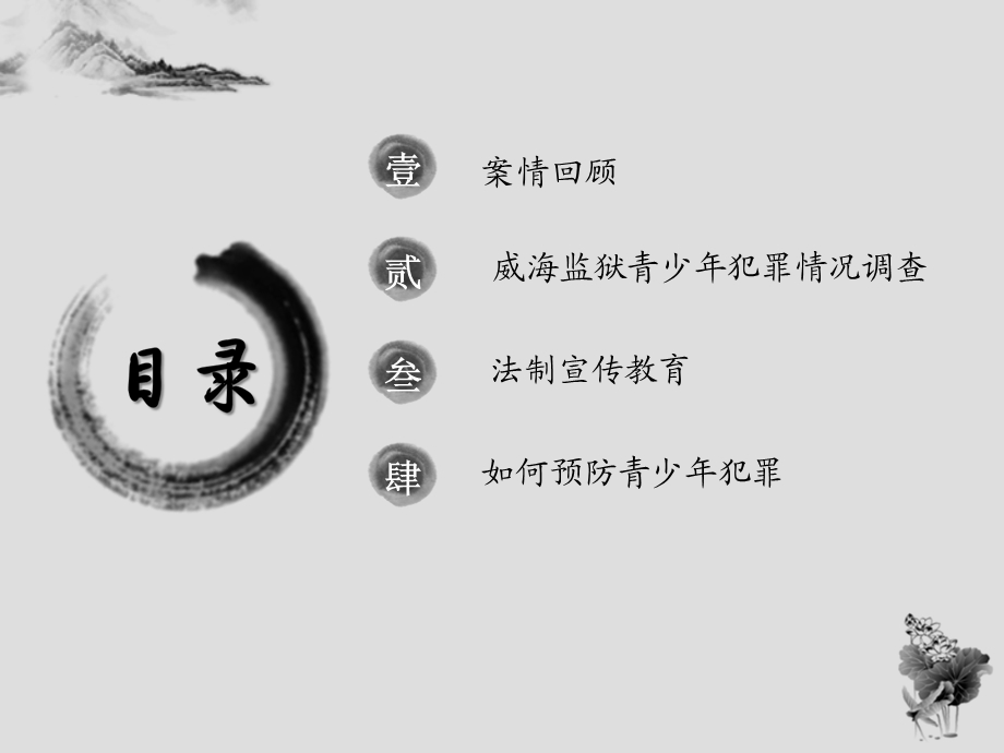 青少年法制宣传教育.ppt_第2页