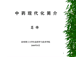 中药现代化简介.ppt