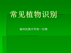 《常见学校植物》PPT课件.ppt