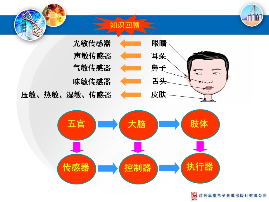 《传感器的种类》PPT课件.ppt_第2页