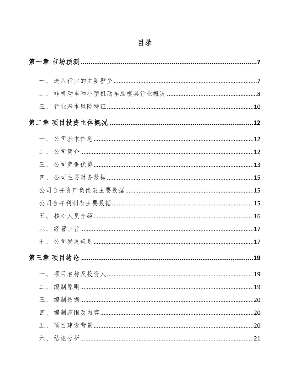 包头轮胎模具项目可行性研究报告.docx_第1页