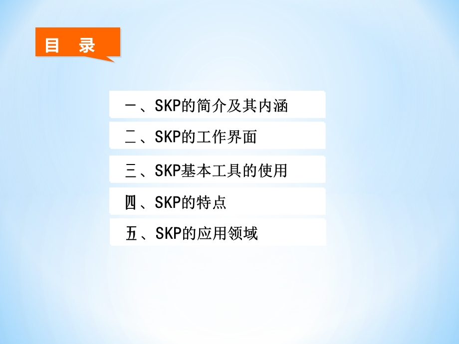 《SKP的基本使用》PPT课件.ppt_第2页