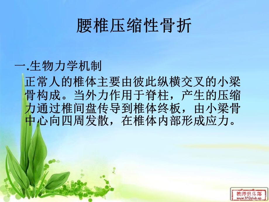 腰椎压缩性骨折介入治疗的护理.ppt_第2页