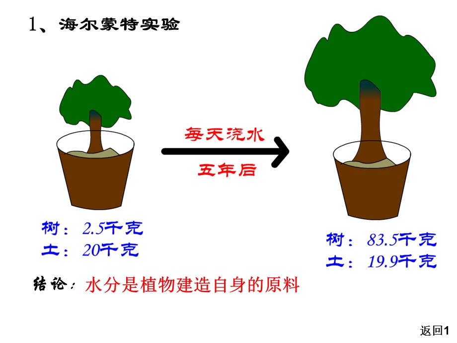 《光合原理和应》PPT课件.ppt_第3页