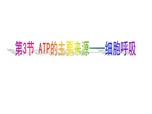 《对应细胞呼吸》PPT课件.ppt