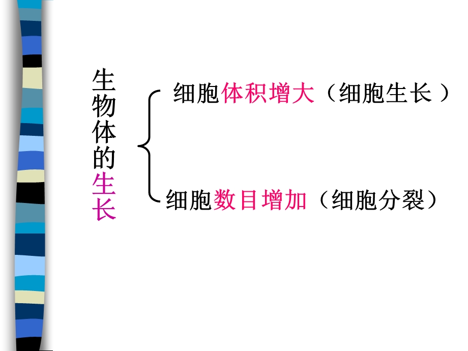 细胞的生命历程(增殖、衰老、死亡、癌变).ppt_第2页