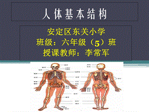 《人体基本结构》PPT课件.ppt