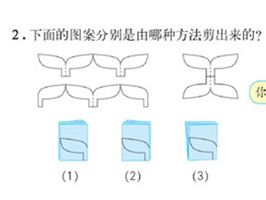 《图形的变化》PPT课件.ppt_第2页