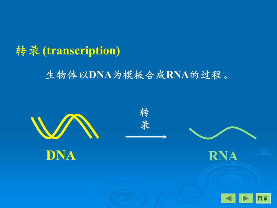 《医学转录》PPT课件.ppt_第2页