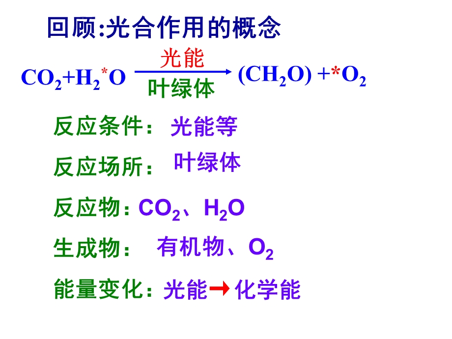 《光合作用过程》PPT课件.ppt_第2页