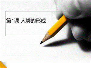 《人类的形成》PPT课件.ppt