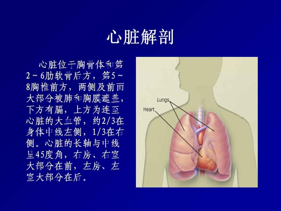 《心脏叩诊检查》PPT课件.ppt_第3页