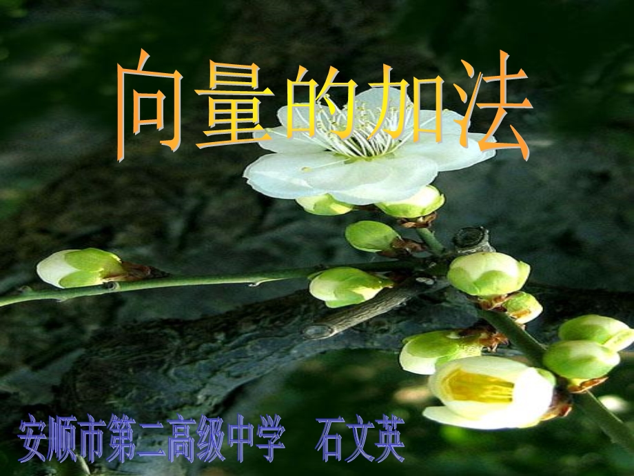 《平面向量的加法》PPT课件.ppt_第1页