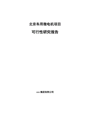 北京车用微电机项目可行性研究报告.docx