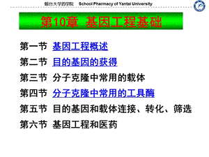 《基因工程基础》PPT课件.ppt