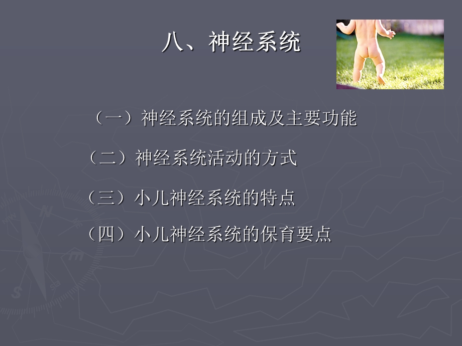 《儿童神经系统》PPT课件.ppt_第1页