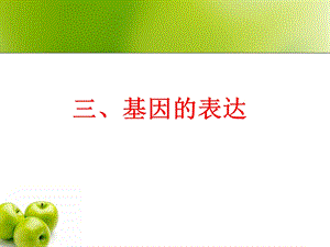 《基因的表达讲》PPT课件.ppt