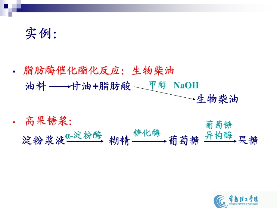 《均相酶反应动力学》PPT课件.ppt_第3页