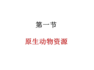 《原生动物资源》PPT课件.ppt